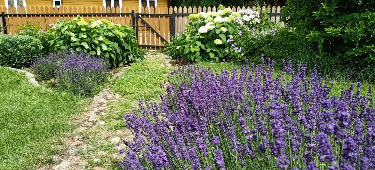 Bialowieski Dworek Holiday home